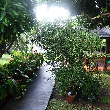 Les Agapanthes Le Tampon Exterior foto