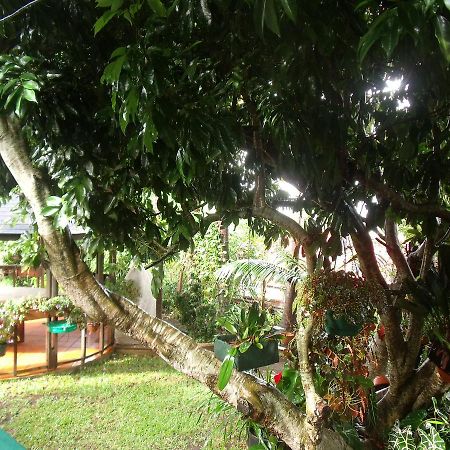 Les Agapanthes Le Tampon Exterior foto