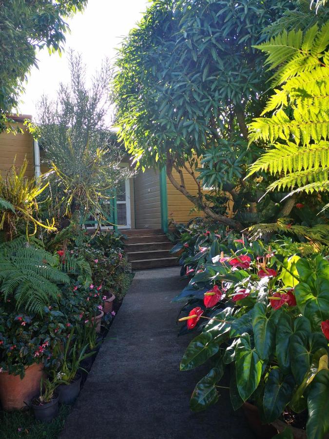 Les Agapanthes Le Tampon Exterior foto