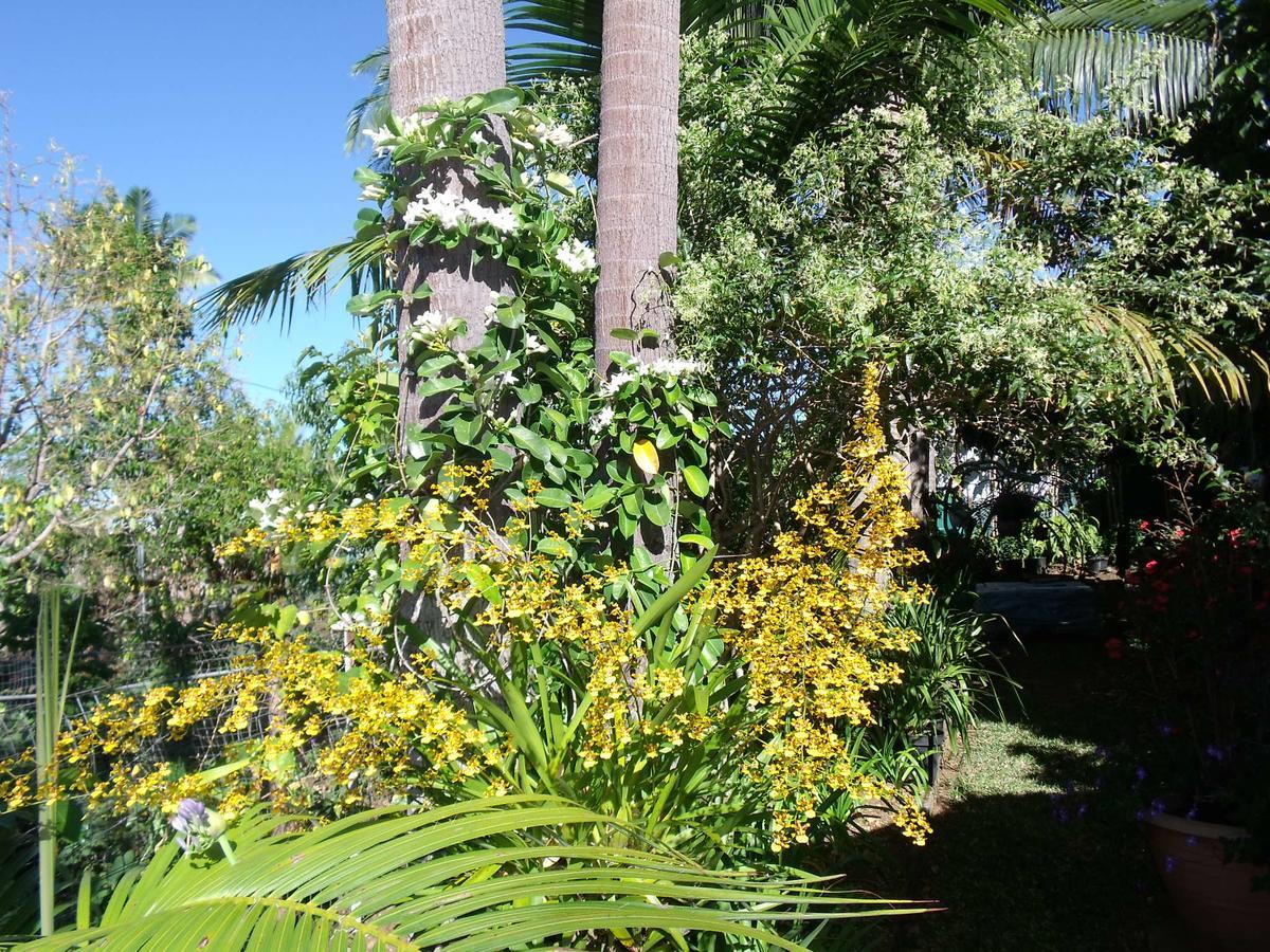 Les Agapanthes Le Tampon Exterior foto