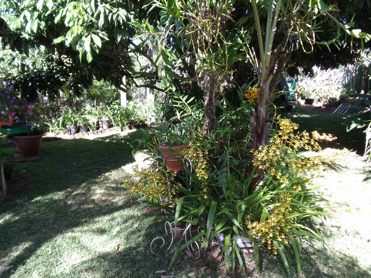 Les Agapanthes Le Tampon Exterior foto