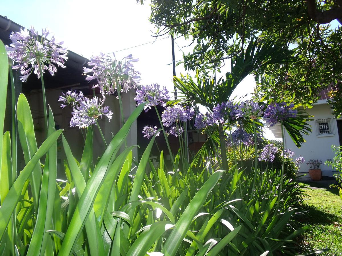 Les Agapanthes Le Tampon Exterior foto