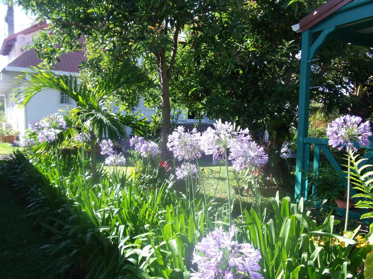 Les Agapanthes Le Tampon Exterior foto