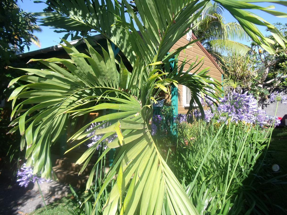 Les Agapanthes Le Tampon Exterior foto