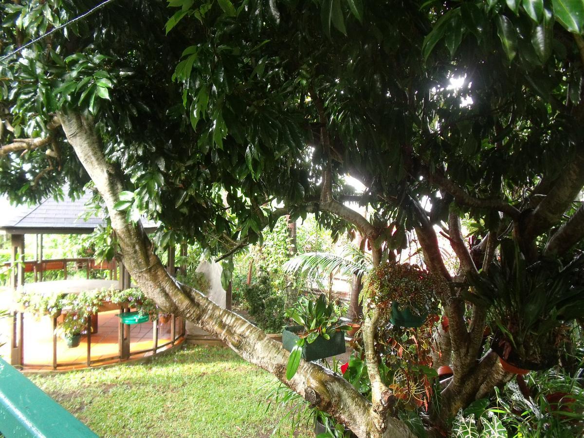 Les Agapanthes Le Tampon Exterior foto