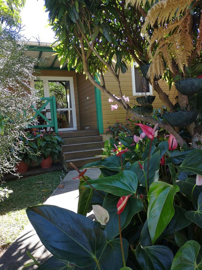 Les Agapanthes Le Tampon Exterior foto